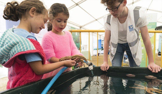 Volunteering for the sea festival.