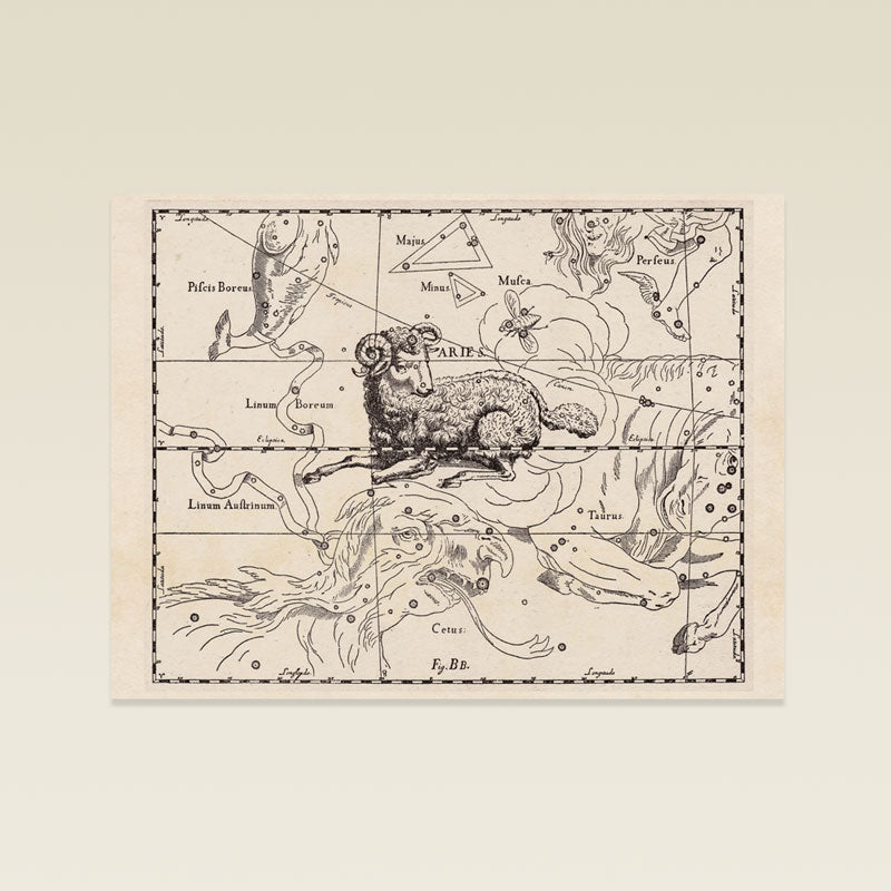 Hevelius Aries Constellation map