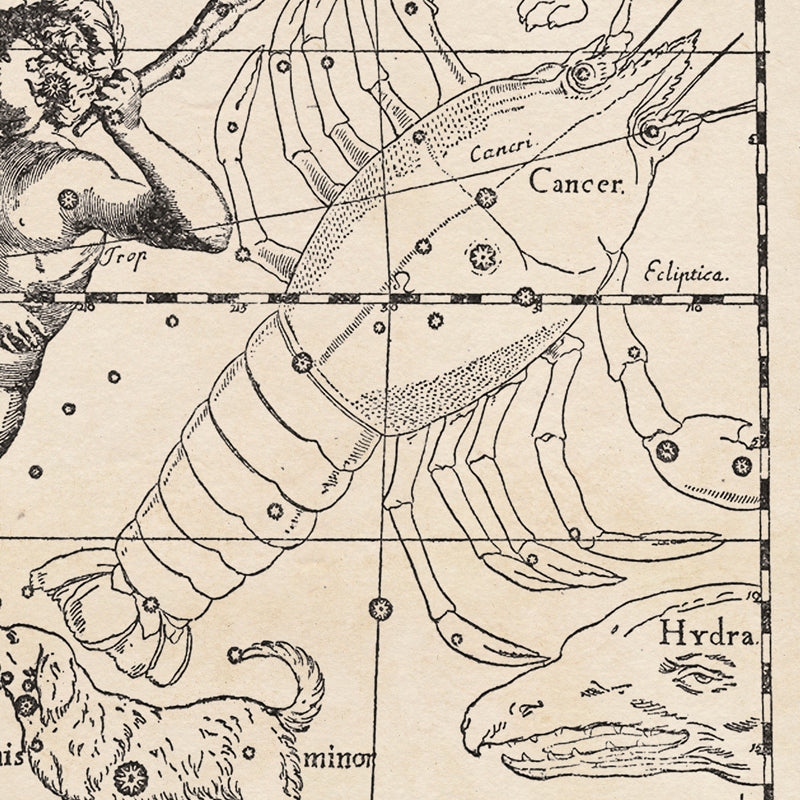 Hevelius Gemini Constellation map