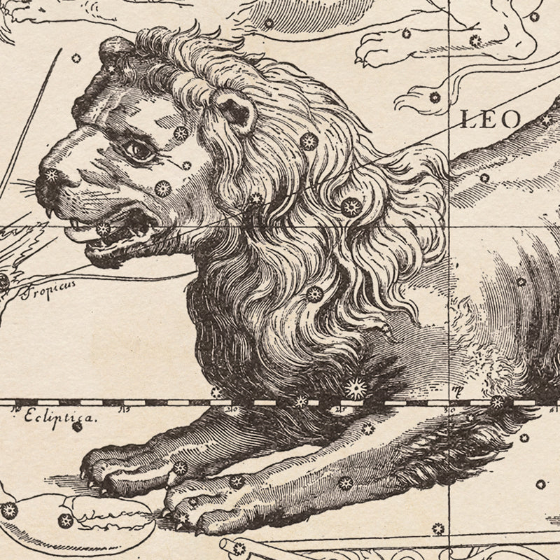 Hevelius Leo Constellation map