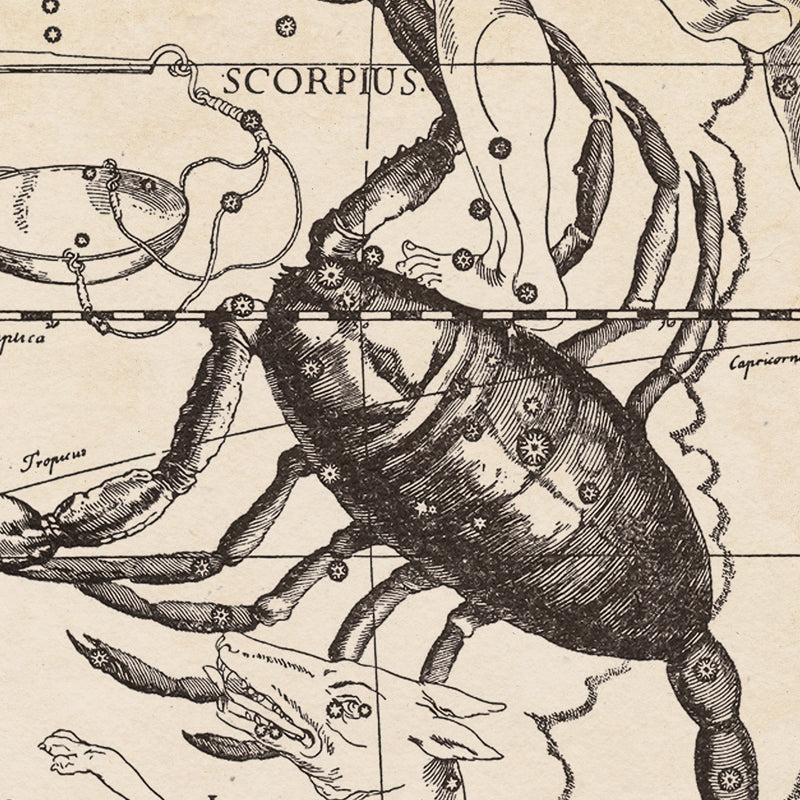 Hevelius Scorpio Constellation map