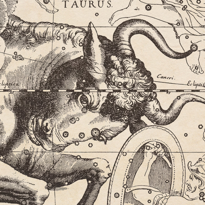 Hevelius Taurus Constellation map
