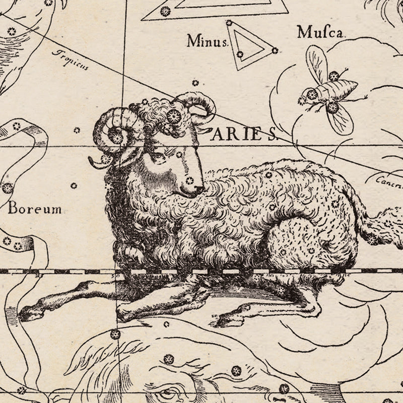 Hevelius Aries Constellation map