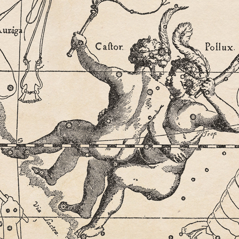 Hevelius Gemini Constellation map