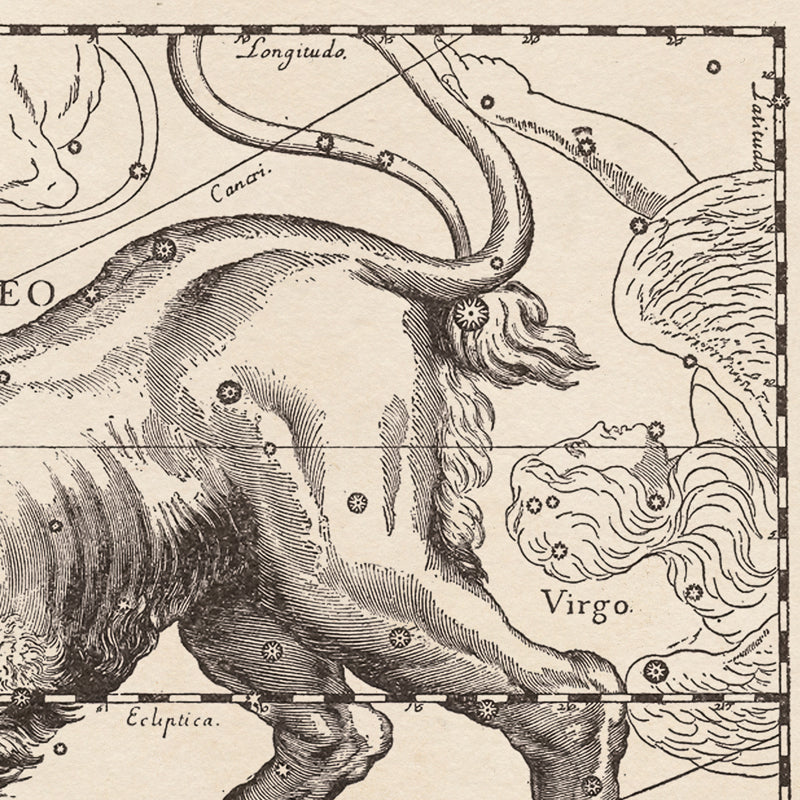Hevelius Leo Constellation map