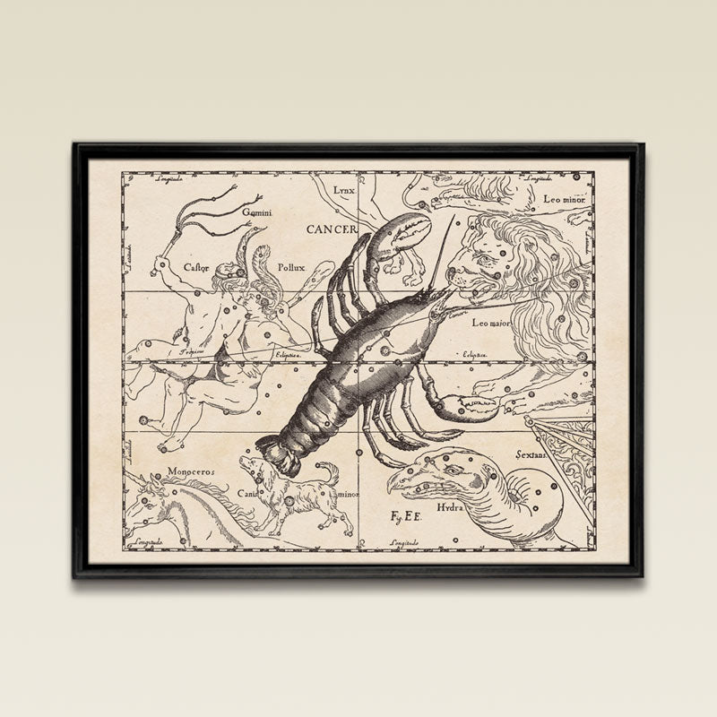 Hevelius Cancer Constellation map