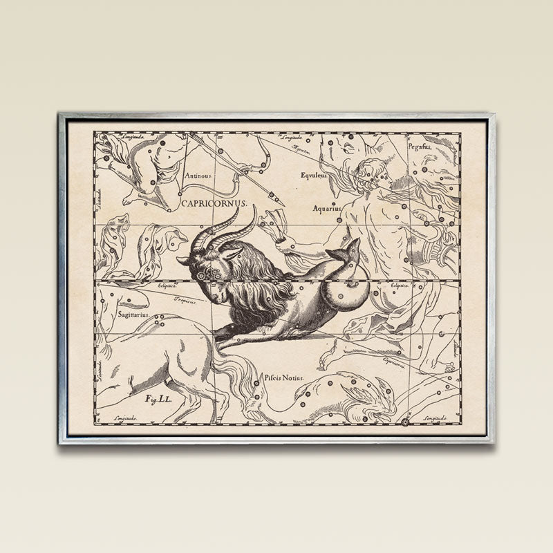 Hevelius Capricornus Constellation map