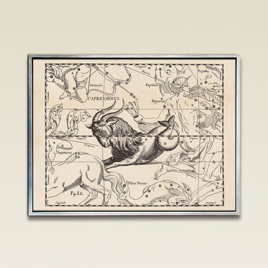 Hevelius Capricornus Constellation map