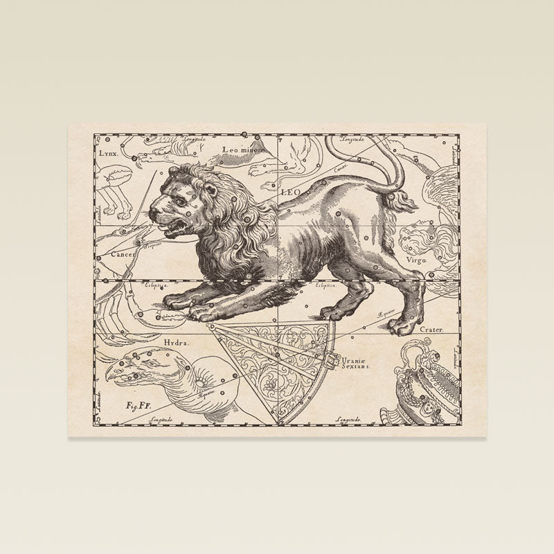Hevelius Leo Constellation map
