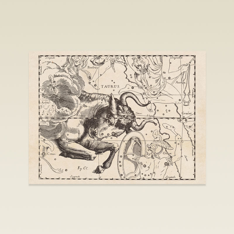 Hevelius Taurus Constellation map