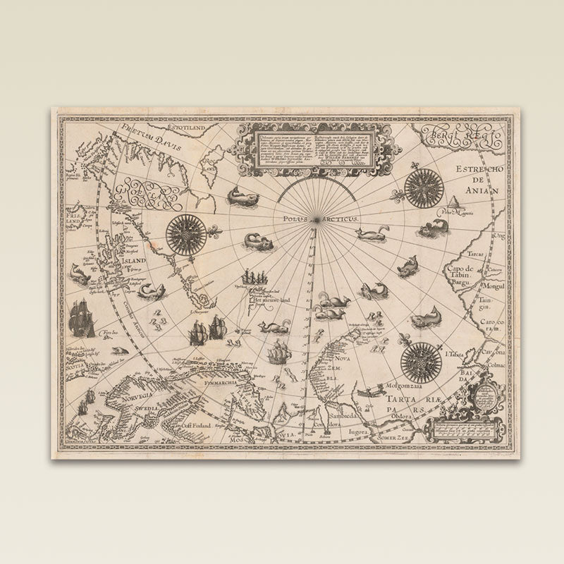 Strait of Anian by Barentsz