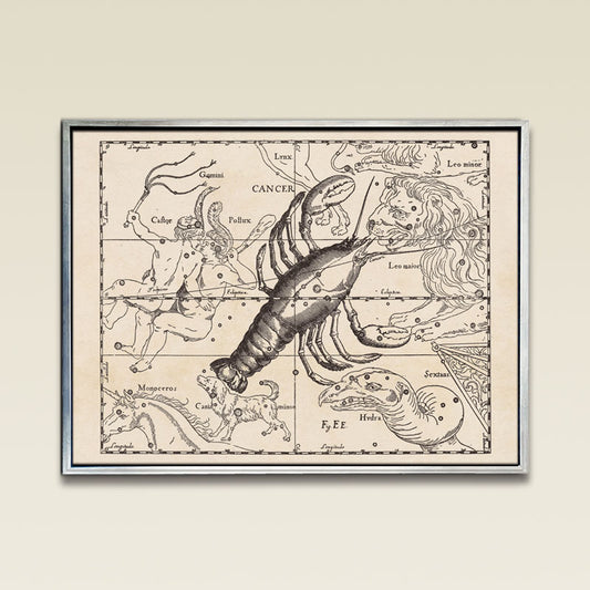 Hevelius Cancer Constellation map