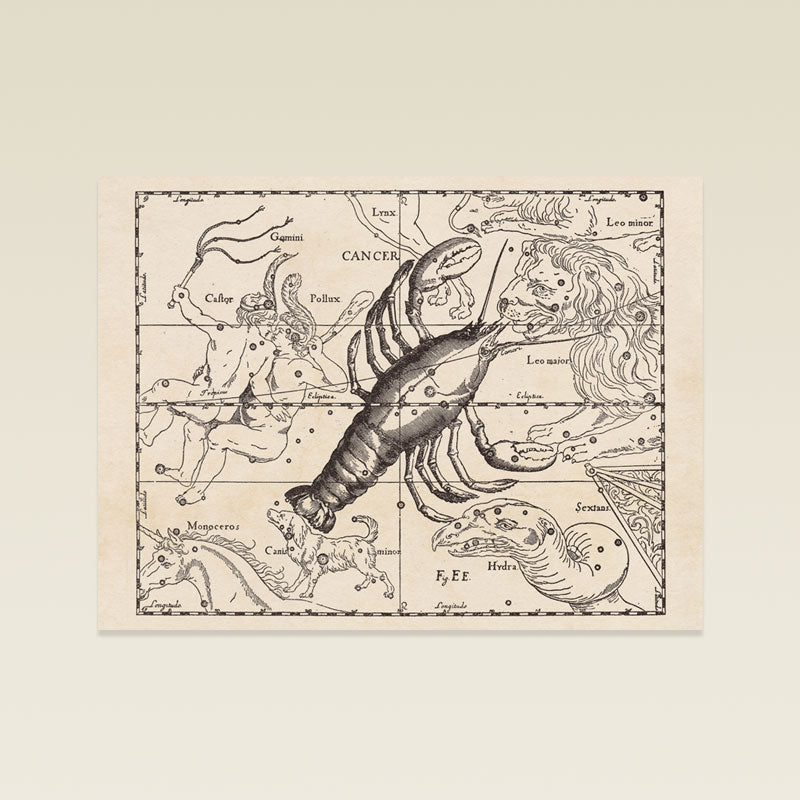 Hevelius Cancer Constellation map