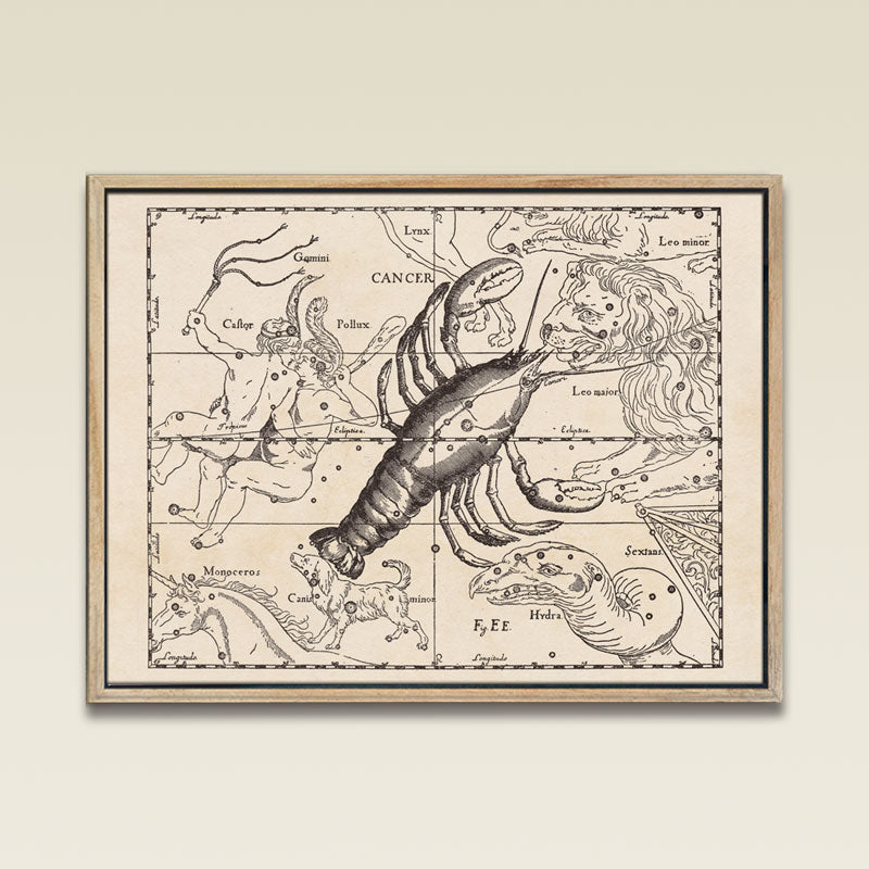 Hevelius Cancer Constellation map