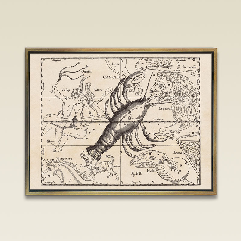 Hevelius Cancer Constellation map