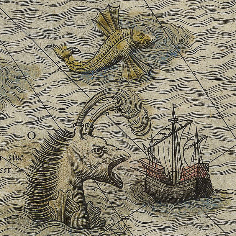 Carta Marina Print