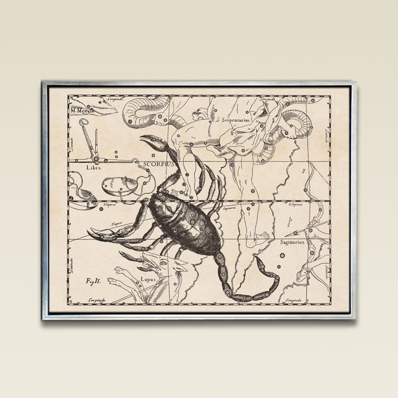 Hevelius Scorpio Constellation map