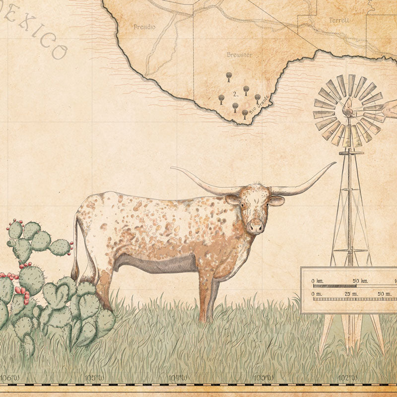 MAP OF TEXAS
