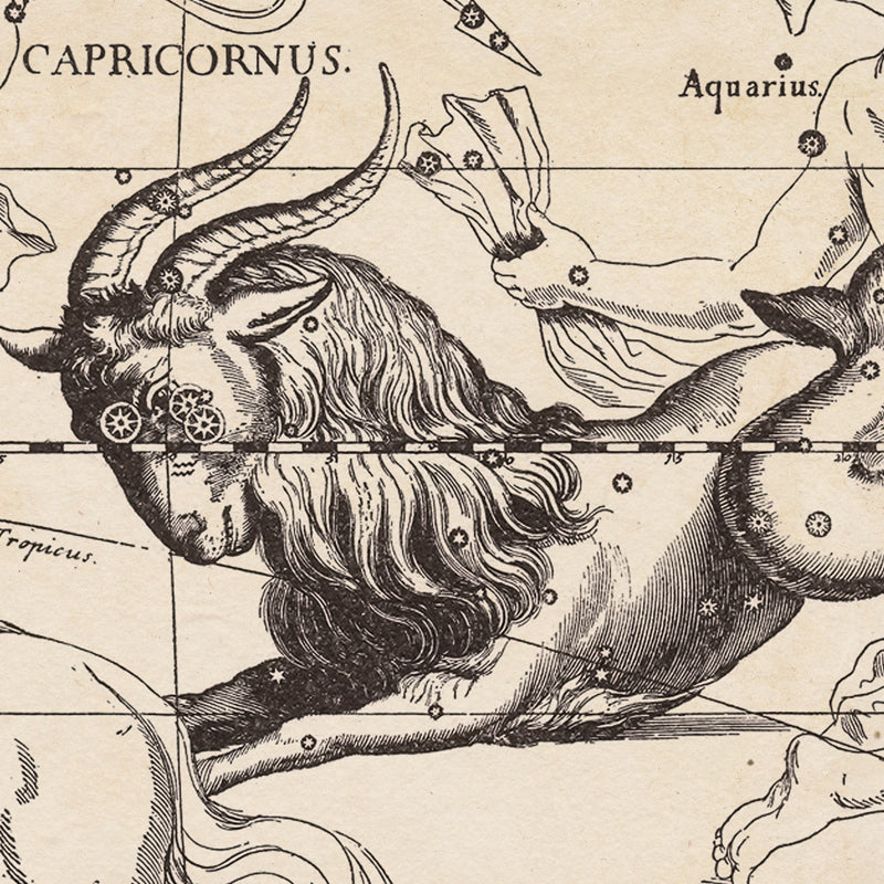 Hevelius Capricornus Constellation map