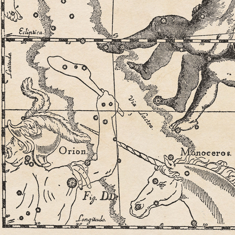 Hevelius Gemini Constellation map