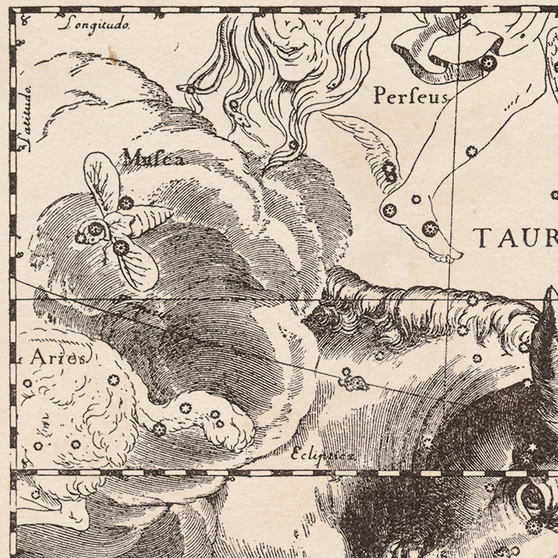 Hevelius Taurus Constellation Map Royale Maps Cartography