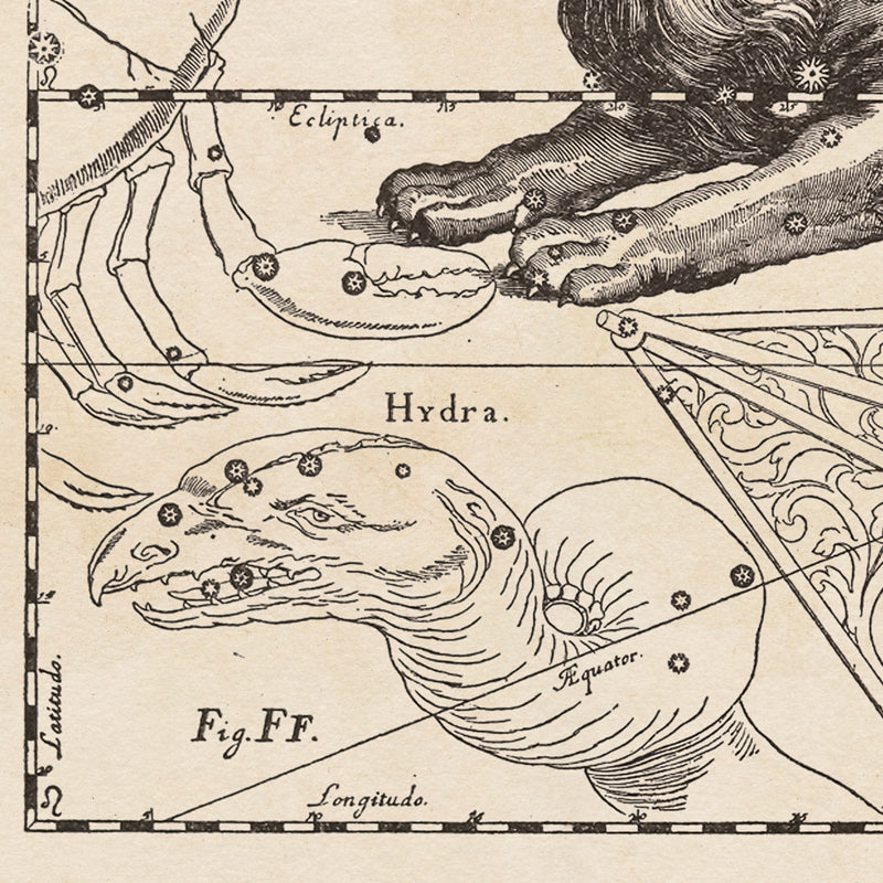 Hevelius Leo Constellation map