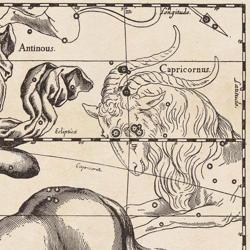 Hevelius Sagittarius Constellation map