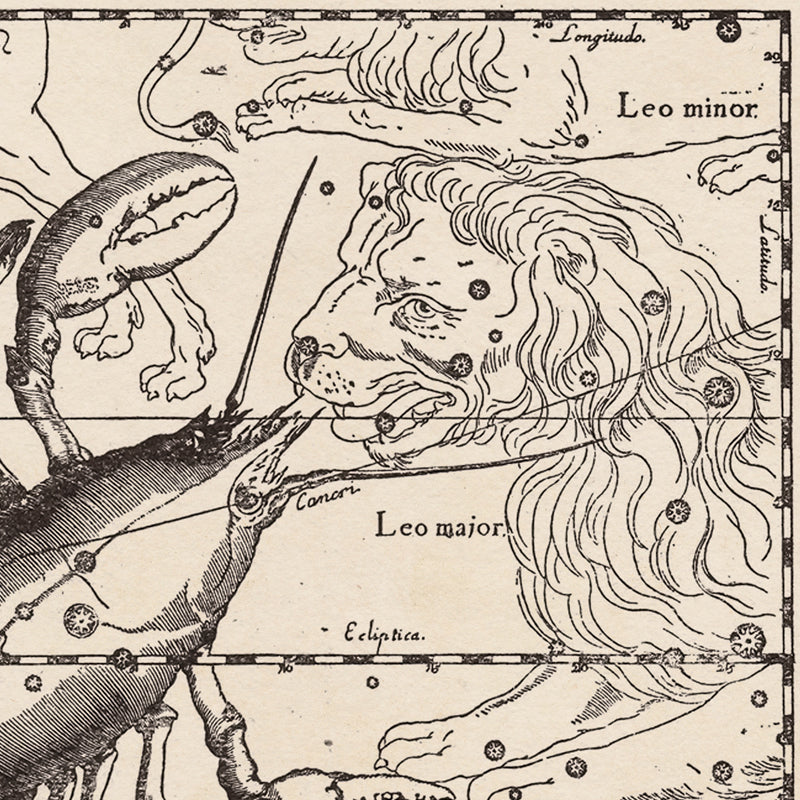 Hevelius Cancer Constellation map Royale Maps Cartography