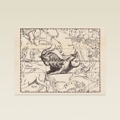 Hevelius Capricornus Constellation map