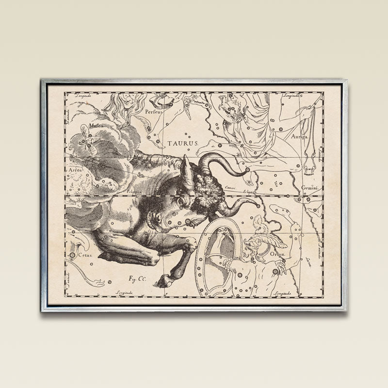 Hevelius Taurus Constellation map – Royale Maps Cartography