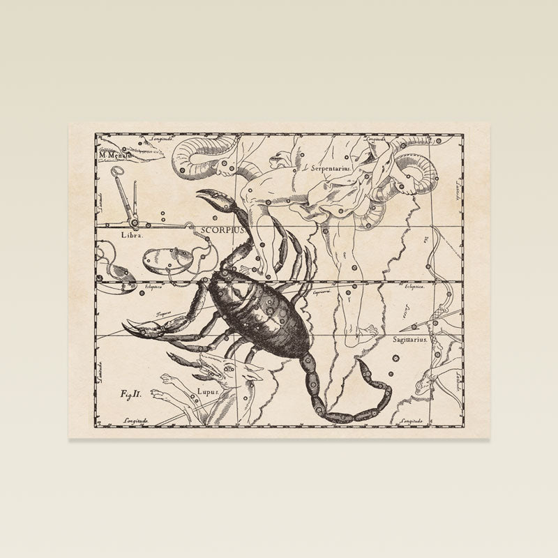 Hevelius Scorpio Constellation map
